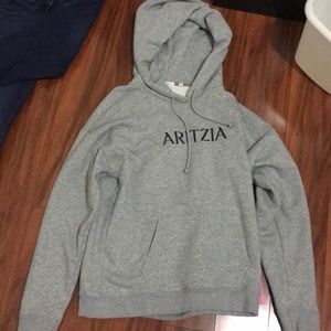 Aritzia hoodie